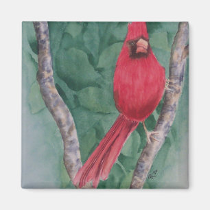 Cardinal Magnet