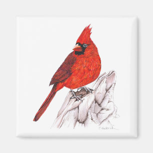 Cardinal Magnet