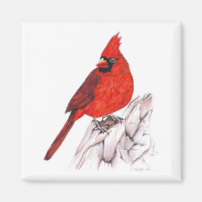 Cardinal Magnet (Front)