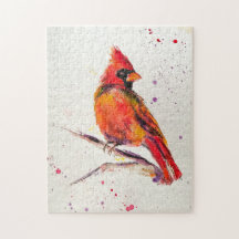 Cardinal male puzzle