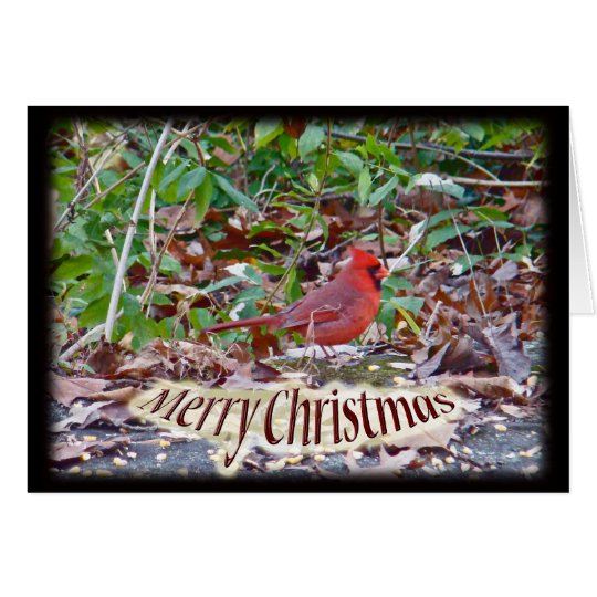 Cardinal Merry Christmas Items Card