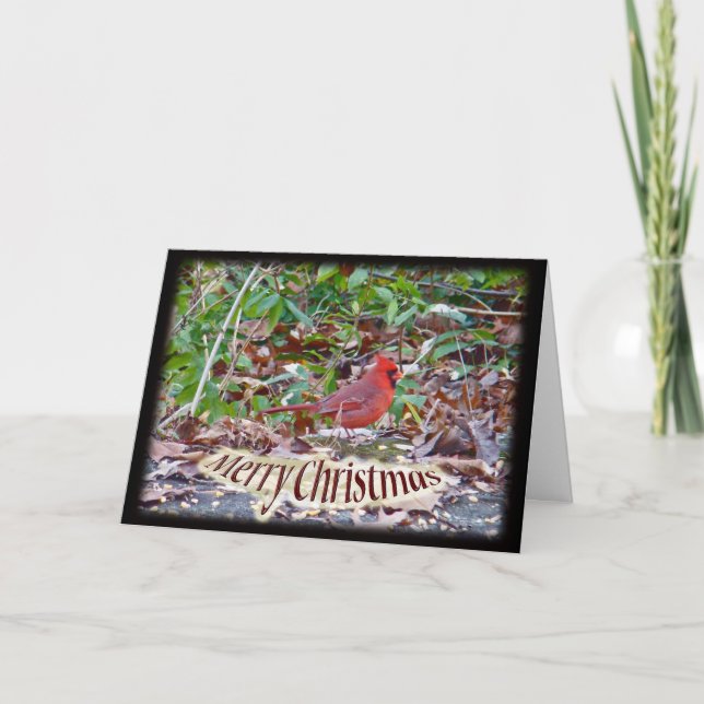 Cardinal Merry Christmas Items Holiday Card (Front)