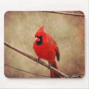 Cardinal Mouse Pad