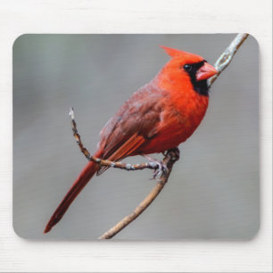 Cardinal Mousepad