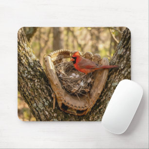 Cardinal Nest in a Baseball Glove Mouse Pad