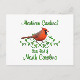 Cardinal North Carolina Bird Postcard