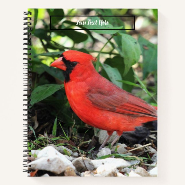 Cardinal Notebook (Front)