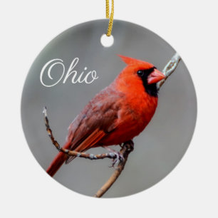 Cardinal Ohio Ornament