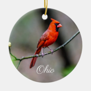 Cardinal Ohio Ornament