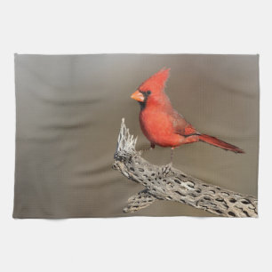 Cardinal on a cholla rib  tea towel