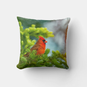 Cardinal On An Evergreen Branch Cushion