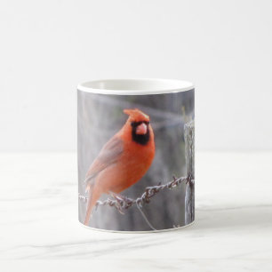 Cardinal on barbed wire coffee mug