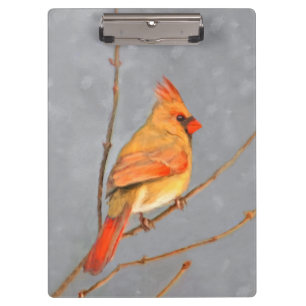 Cardinal on Branch Painting - Original Bird Art Clipboard