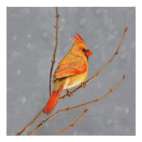 Cardinal on Branch Painting - Original Bird Art