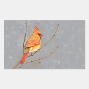 Cardinal on Branch Painting - Original Bird Art Rectangular Sticker