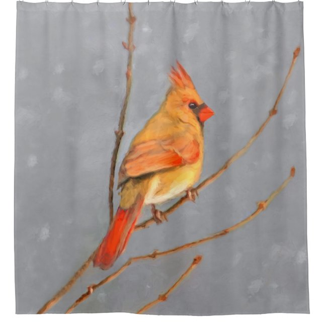 Cardinal on Branch Painting - Original Bird Art Shower Curtain (Front)