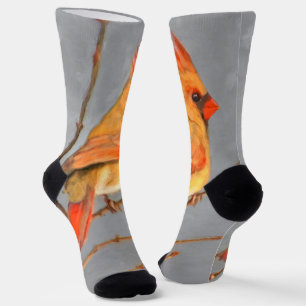 Cardinal on Branch Painting - Original Bird Art Socks