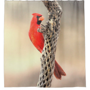 Cardinal on Cholla Shower Curtain