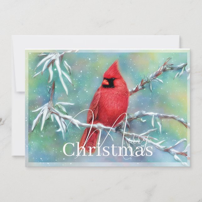 Cardinal on snowy branch budget Christmas Holiday Card (Front)