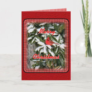 Cardinal on Snowy Magnolia- customise Holiday Card