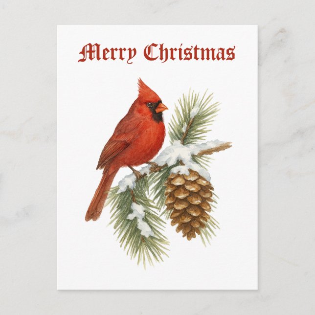 Cardinal On Snowy Pine Tree Christmas Holiday Postcard (Front)