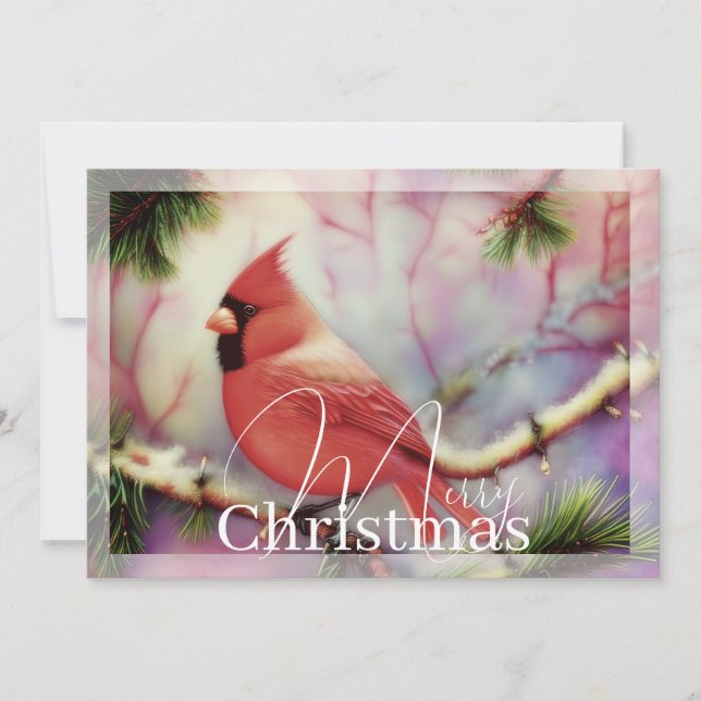 Cardinal on winter branch budget Christmas Holiday Card (Front)