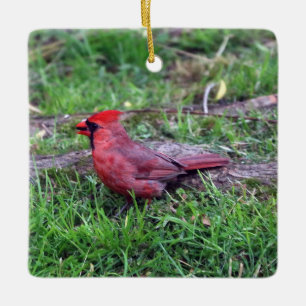 Cardinal Ornament