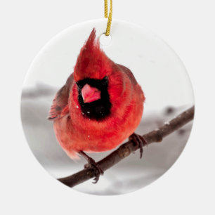 Cardinal Ornament