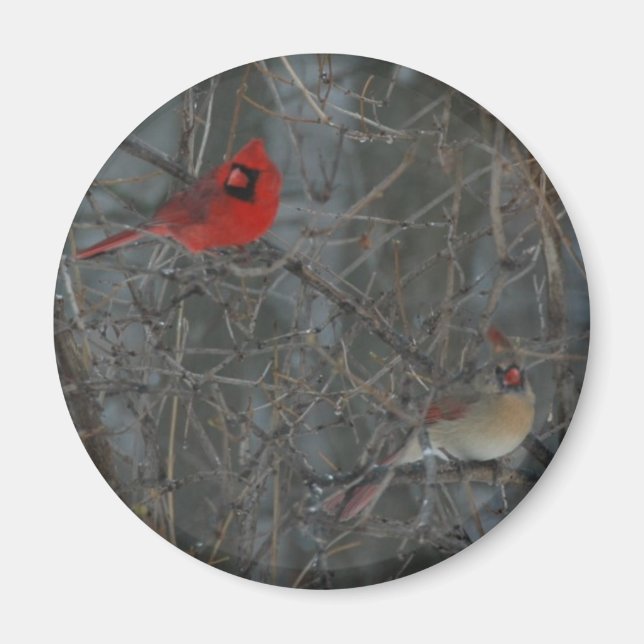 Cardinal Pair Magnet (Front)