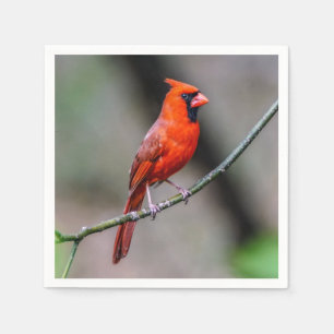 Cardinal Paper Napkin