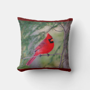 Cardinal Perch Cushion