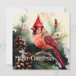 Cardinal Perched in Evergreen Tree with Pinecones Holiday Card