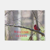 Cardinal Photo