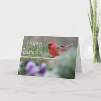 Cardinal photo Happy birthday