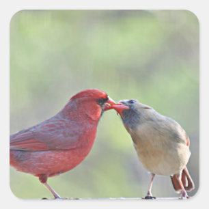 Cardinal photo square sticker