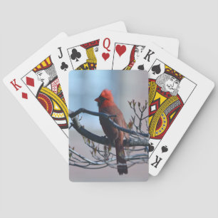 Cardinal Playing Cards