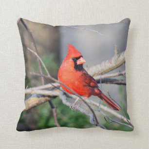 Cardinal Portrait Cushion