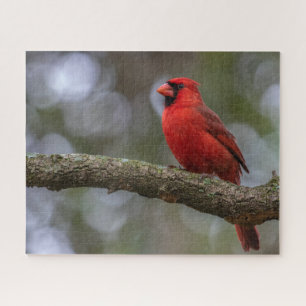 Cardinal Portrait Jigsaw Puzzle