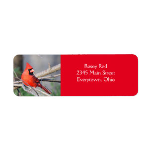 Cardinal Pose Label Return Address Label