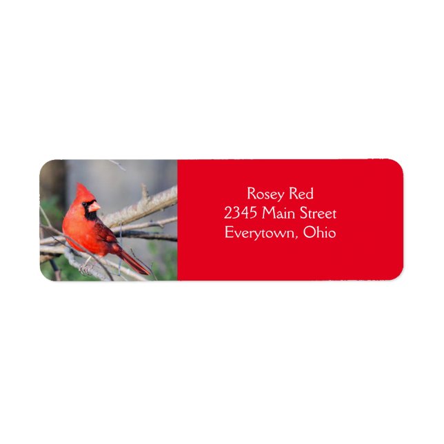 Cardinal Pose Label Return Address Label (Front)