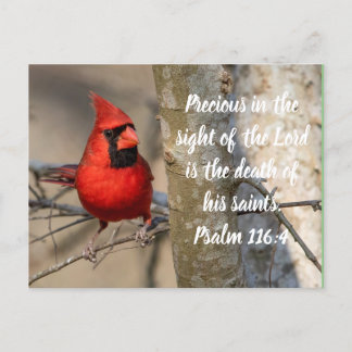 Cardinal Post Card Psalm 116:15