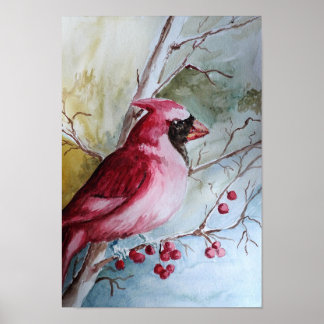 Cardinal Poster