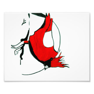 Cardinal Print