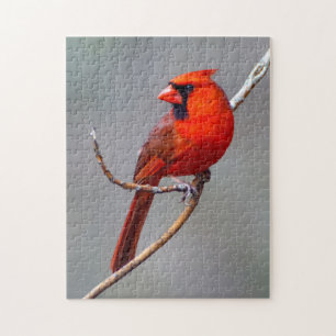 Cardinal Puzzle