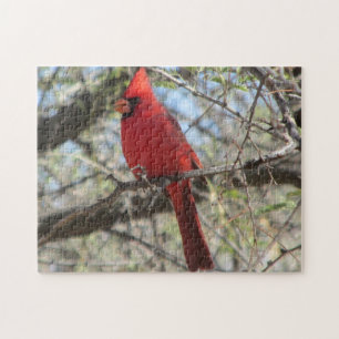 Cardinal Puzzle