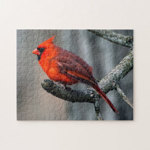 Cardinal Puzzle