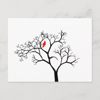 Cardinal Red Bird in Snowy Winter Tree Postcard