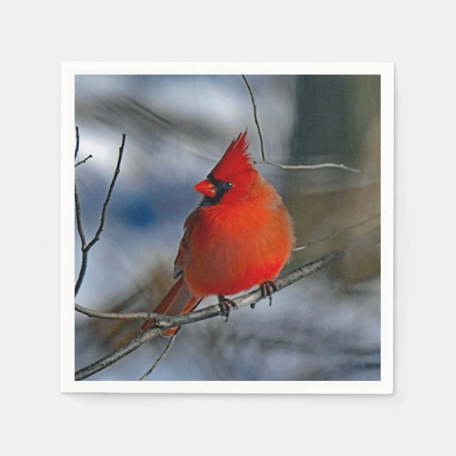 Cardinal Red Winter Photo Napkin (Front)