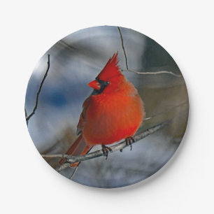 Cardinal Red Winter Photo Paper Plate