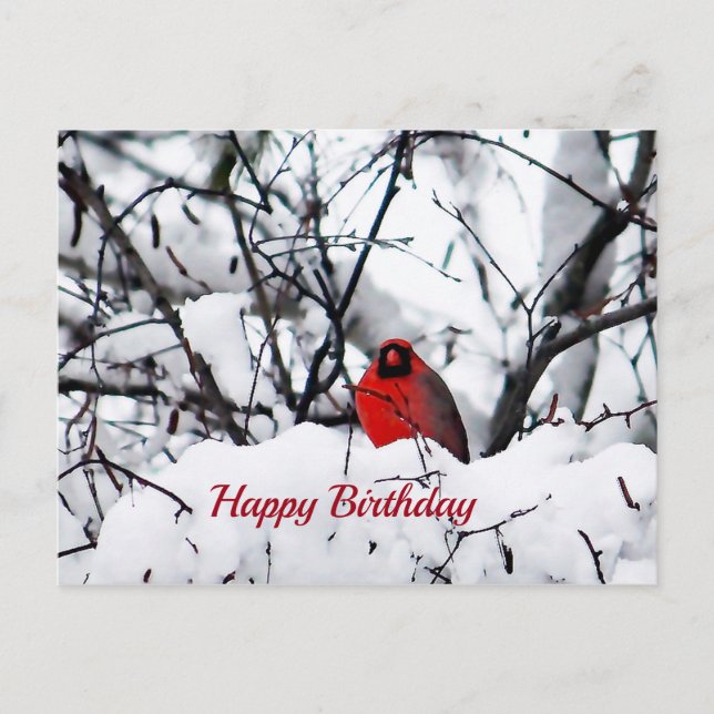 Cardinal Redbird Snow Photo Birthday Postcard (Front)